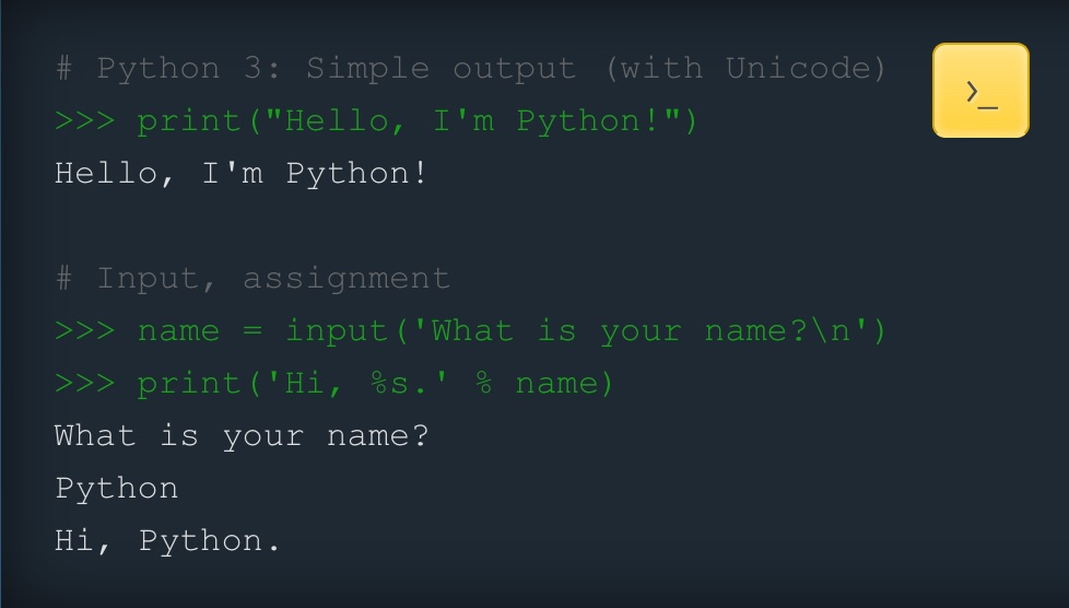 python vs R